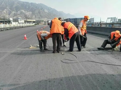 丰顺道路桥梁病害治理